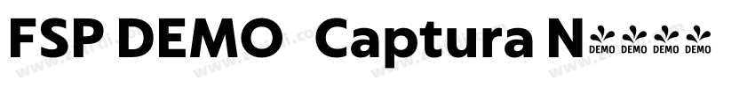 FSP DEMO   Captura N字体转换